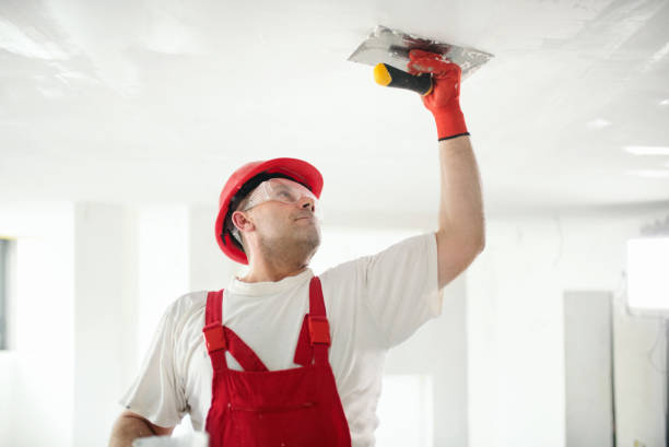 Best Repainting for Renovations  in Lake Hamilton, FL